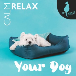 Calm Relax Your Dog: Sleep Music For Puppies Lullaby