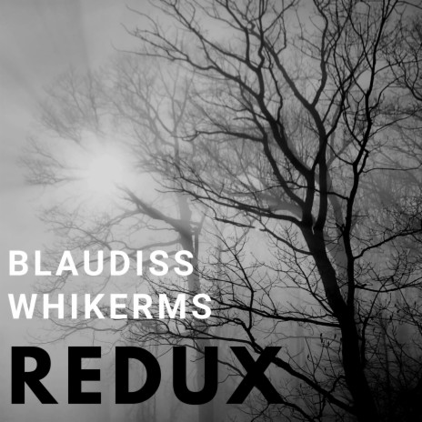 redux ft. whikerms | Boomplay Music