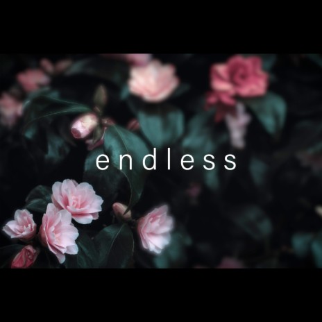 Endless | Boomplay Music