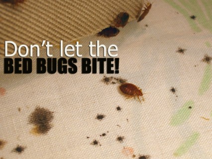 Do’s and Don’ts when dealing with bed bugs