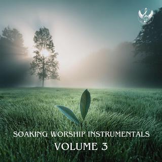 Soaking Worship Instrumentals, Vol. 3