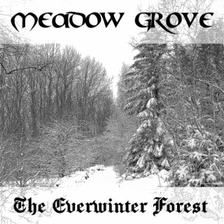 The Everwinter Forest