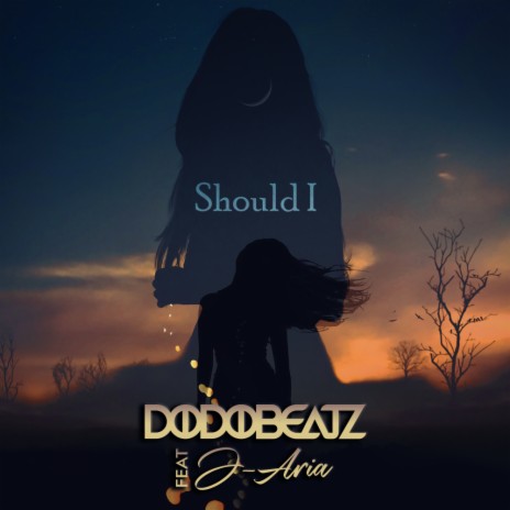 Should I (Original Mix) ft. J-Aria