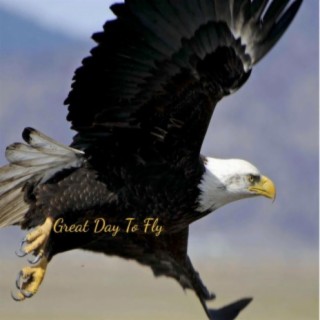 Great Day To Fly (a tribute to eagles)