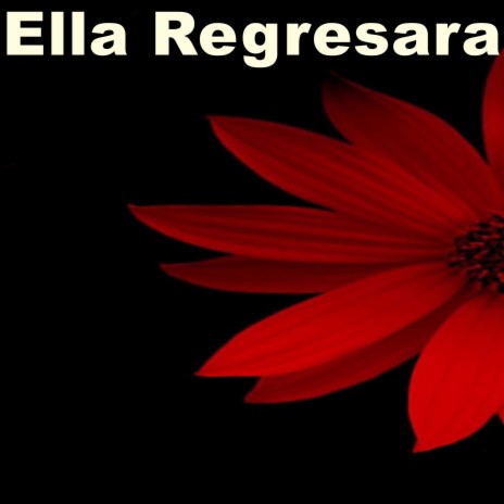 Ella Regresara | Boomplay Music