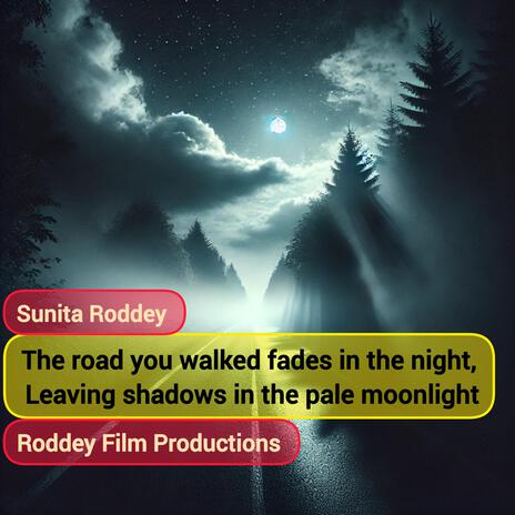 The road you walked fades in the night | Boomplay Music