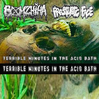 Terrible Minutes In The Acid Bath (BOMZHIHA Side)