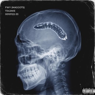 FWY (Maggots) lyrics | Boomplay Music