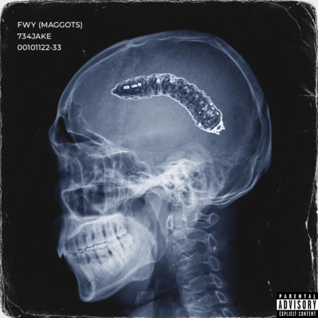 FWY (Maggots) | Boomplay Music