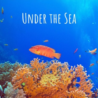 Under the Sea