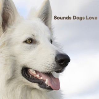 Sounds Dogs Love