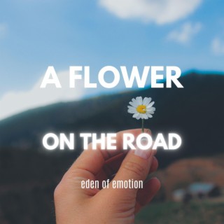 A flower on the road