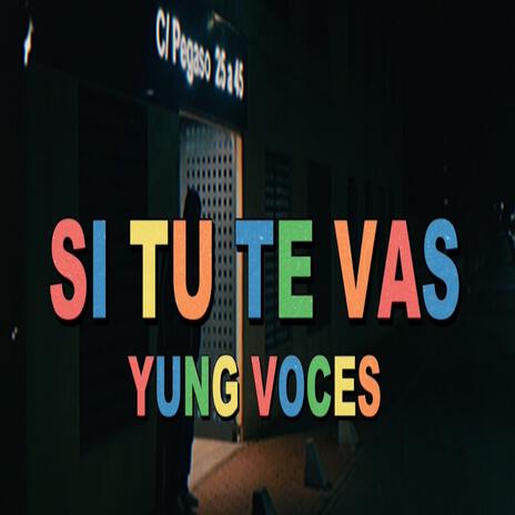 SI TU TE VAS | Boomplay Music