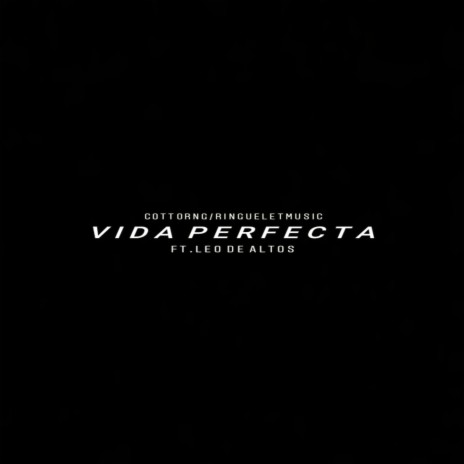 Vida Perfecta ft. Leo De Altos | Boomplay Music
