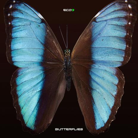 Butterflies | Boomplay Music