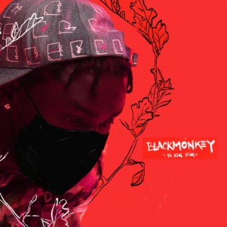 Blackmonkey