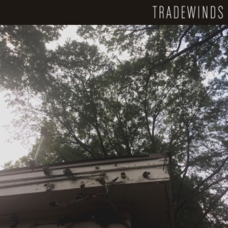 Trade Winds