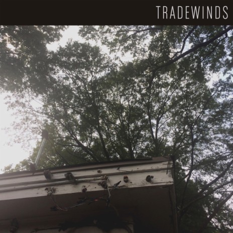 Trade Winds | Boomplay Music