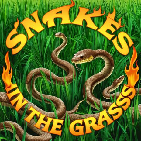 SNAKES IN THE GRASS | Boomplay Music