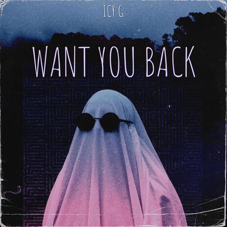 WANT YOU BACK | Boomplay Music