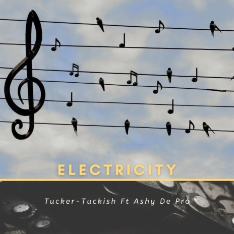 Electricity ft. Ashy De Pro | Boomplay Music