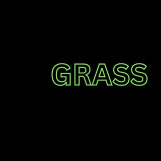 Grass