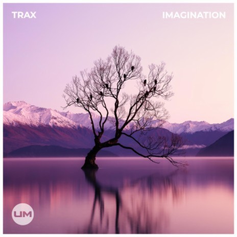 Imagination | Boomplay Music