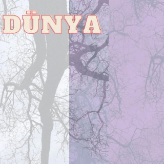 Dünya