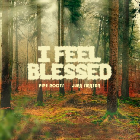 I Feel Blessed ft. juan sinatra | Boomplay Music