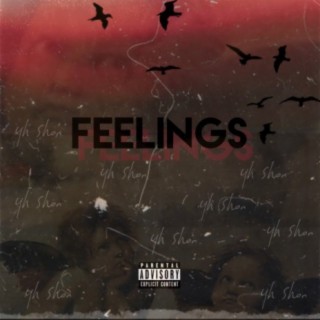 Feelings