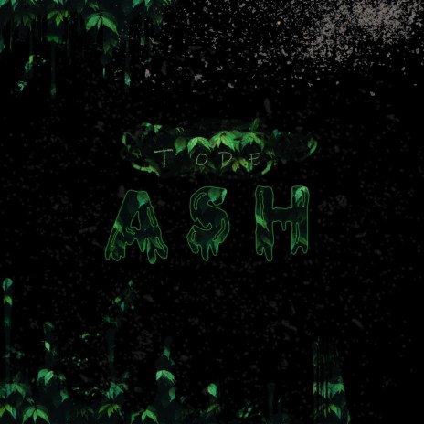 Ash | Boomplay Music