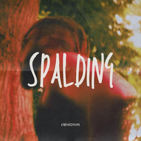 SPALDING | Boomplay Music