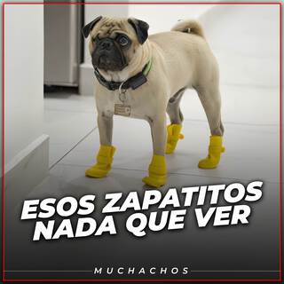 Esos Zapatitos Nada Que Ver ft. Martin SDj lyrics | Boomplay Music