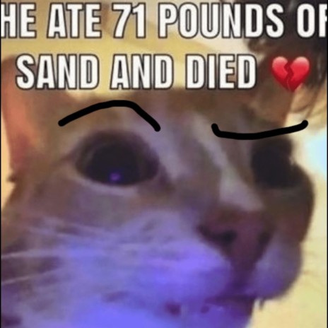 he ate 71 pounds of sand and DIED