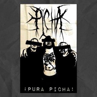 ¡Pura Picha! (40 song rehearsal demo)