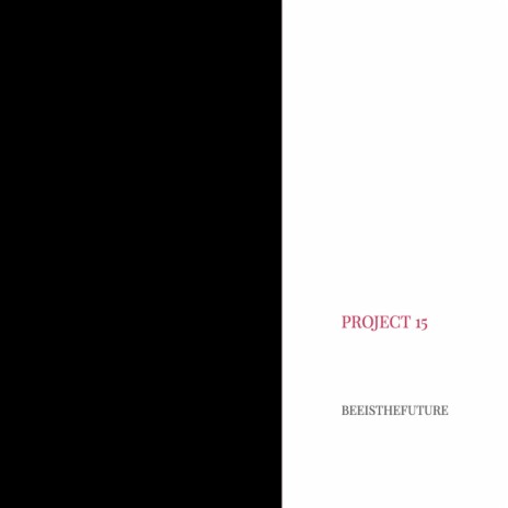 Project 15