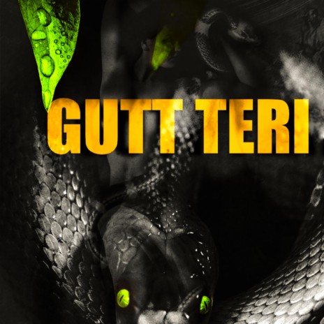Gutt Teri ft. Vsinghs, Pavvan & Keetview$