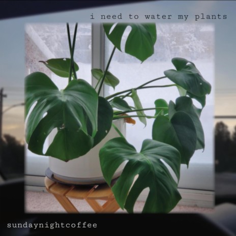 i need to water my plants