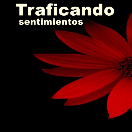 Traficando sentimientos | Boomplay Music