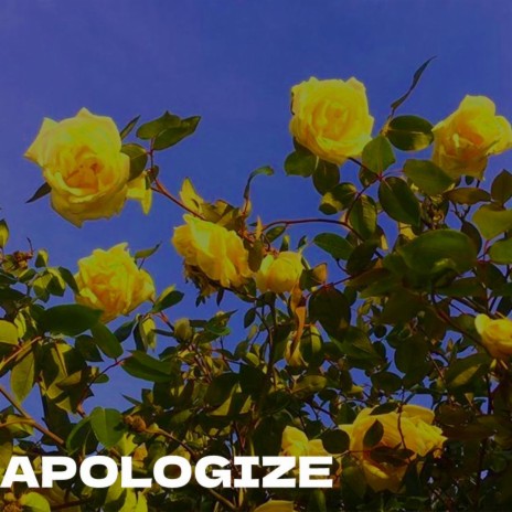APOLOGIZE | Boomplay Music