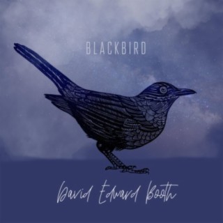 Blackbird (feat. Roisin O'Hagan & Kelly Bayfield)