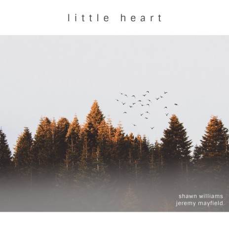 Little Heart