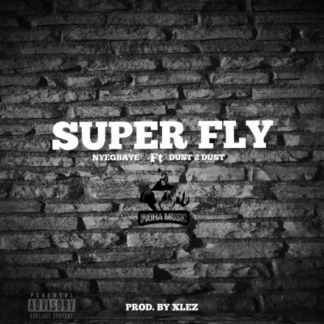 SUPER FLY ft. DUST 2 DUST | Boomplay Music