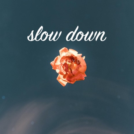 Slow Down | Boomplay Music