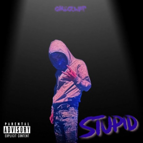 Stupid | Boomplay Music