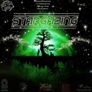 Star Gazing (feat. Modular 7even)