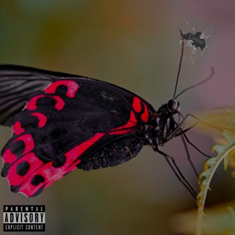 Mariposas | Boomplay Music