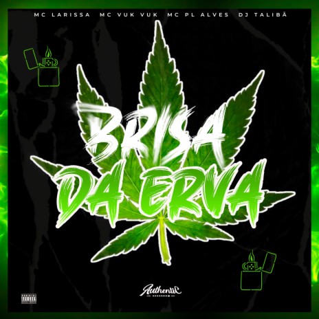 Brisa da Erva ft. MC Vuk Vuk, Mc Larissa & MC PL ALVES | Boomplay Music