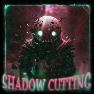 Shadow Cutting