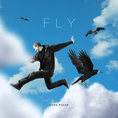 Fly | Boomplay Music